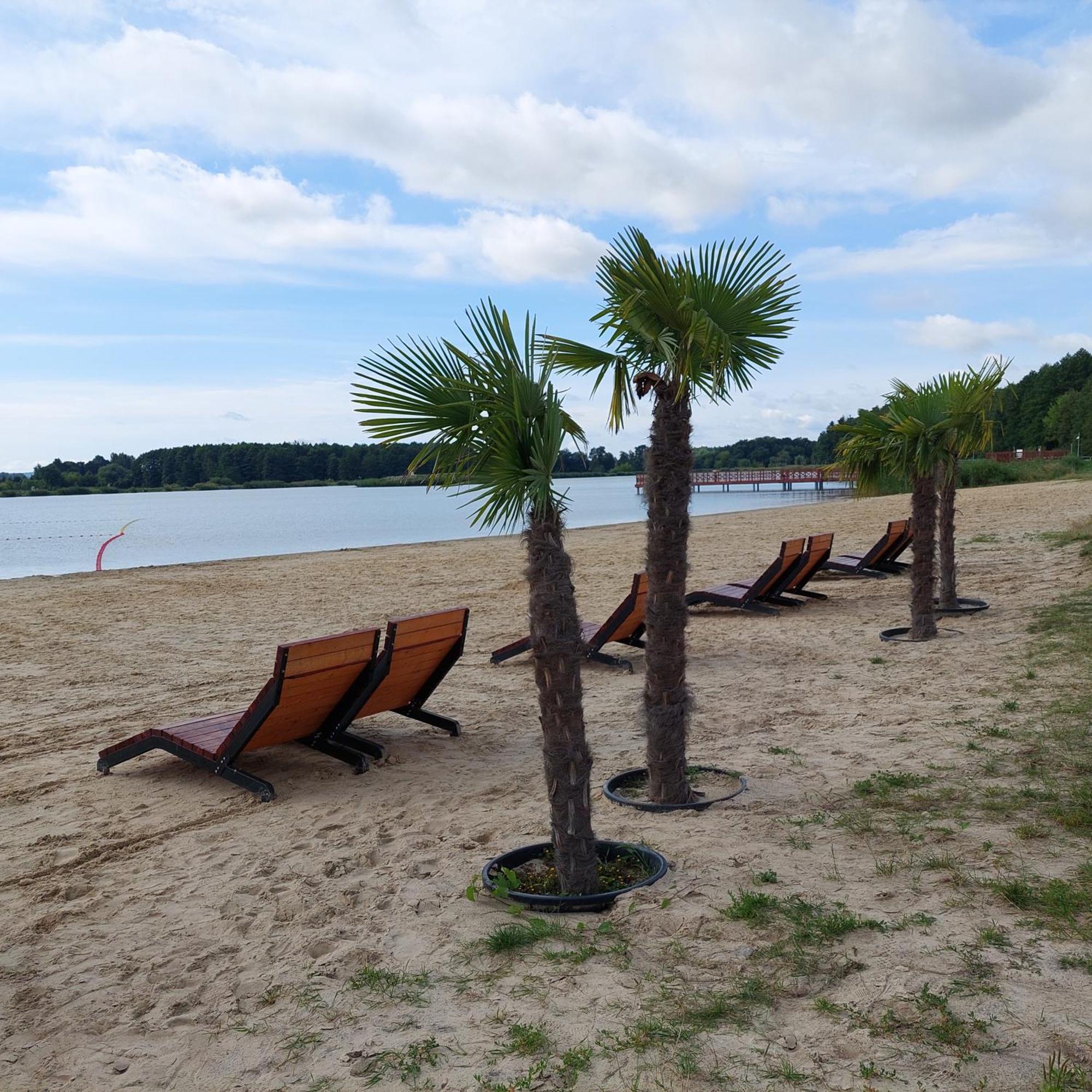 Apartament Turysty Zamczysko Zamosc  Bagian luar foto